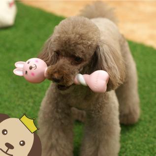 패리스독 꽈배기 애니멀 라텍스 강아지 장난감 (색상랜덤발송)